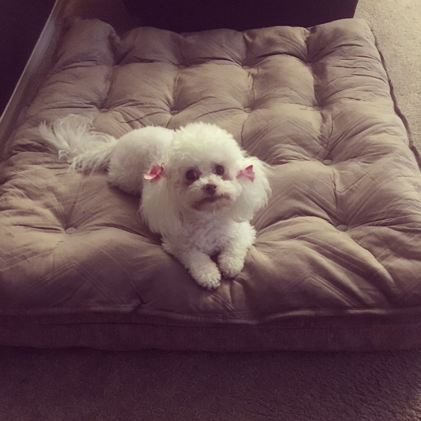Sophie